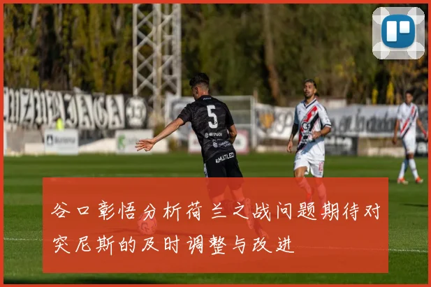 谷口彰悟分析荷兰之战问题期待对突尼斯的及时调整与改进