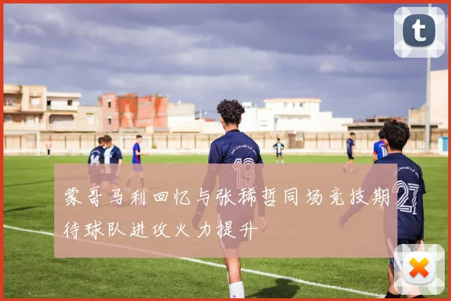 蒙哥马利回忆与张稀哲同场竞技期待球队进攻火力提升